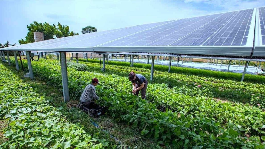 Solar-powered water pumping on a farm